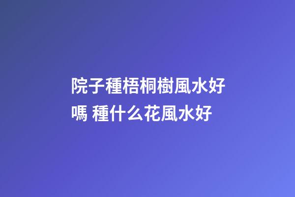 院子種梧桐樹風水好嗎 種什么花風水好